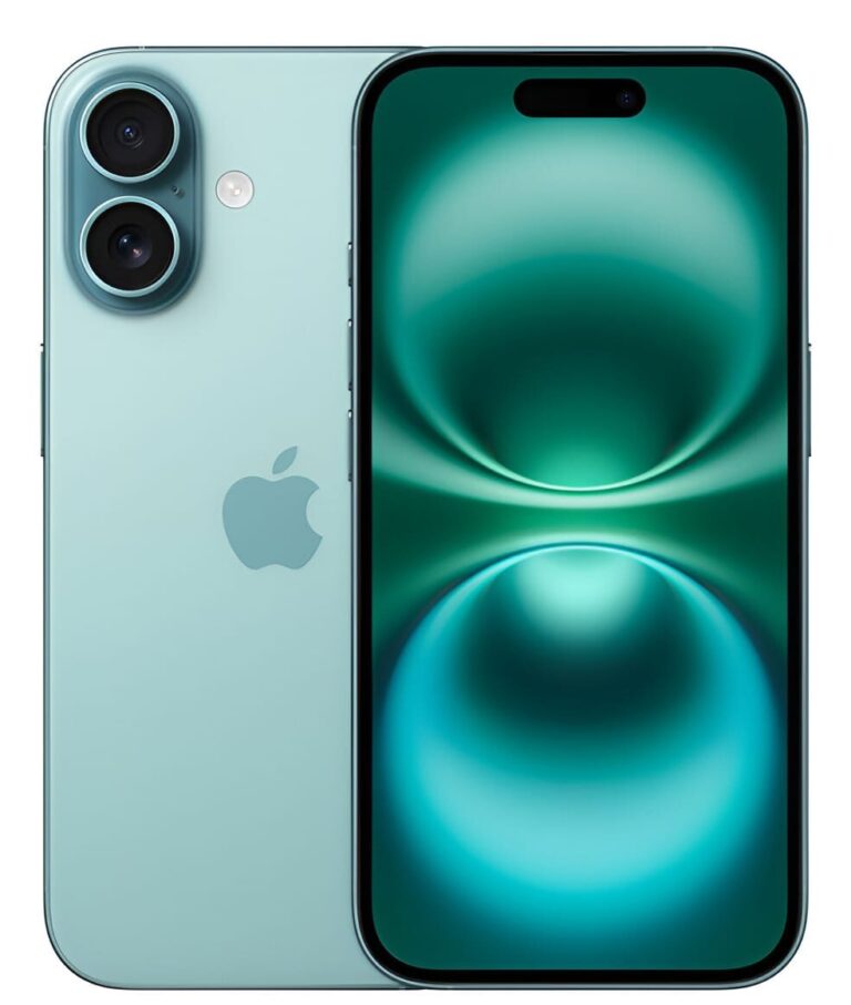 WhatsApp Image 2025-11-15 at 15.43.50