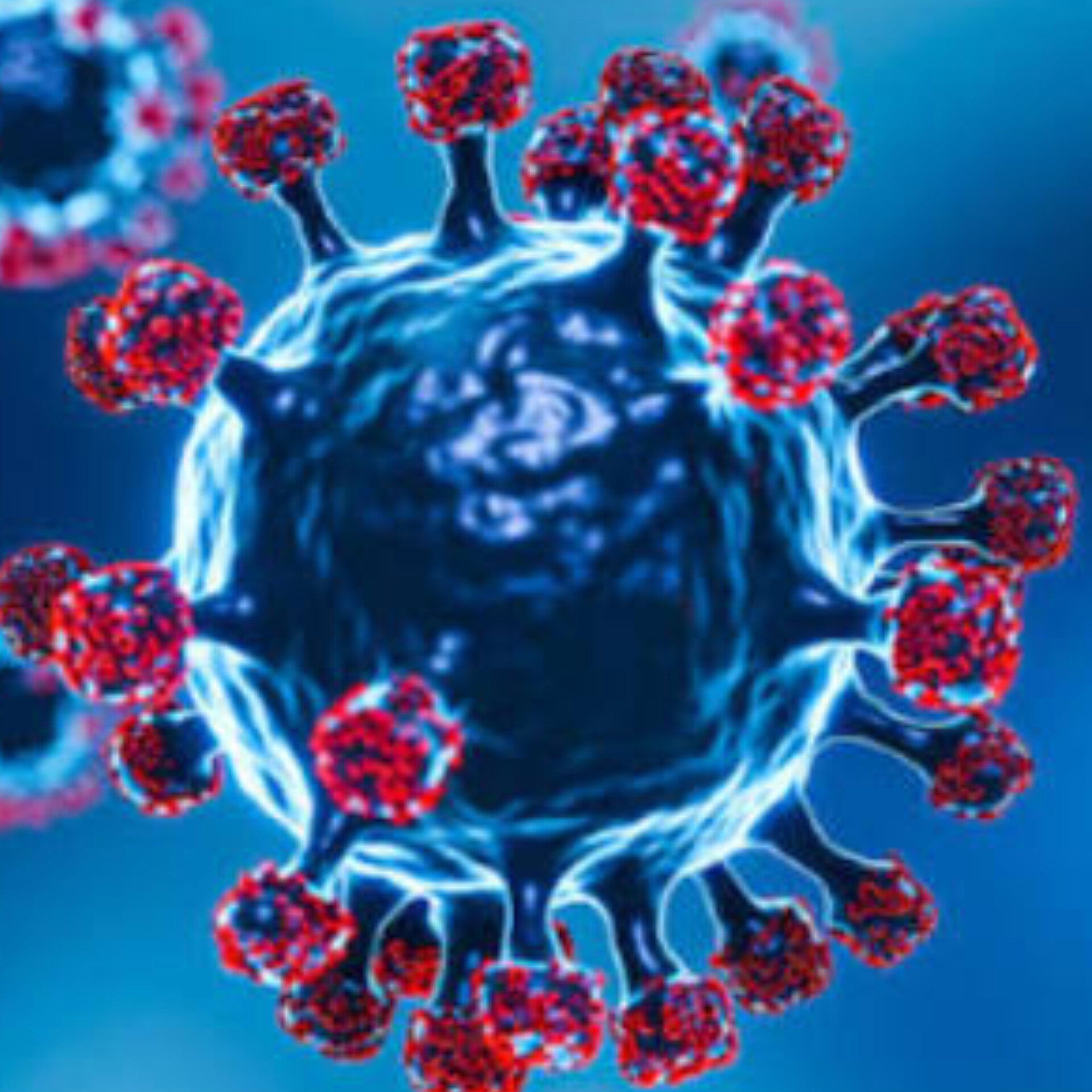 O que é o vírus Nipah? Entenda a doença, riscos, sintomas e prevenção